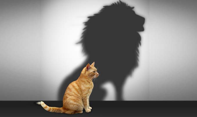 اعتماد به نفس یعنی چه ؟